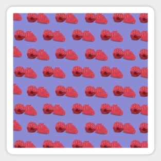 RedBerry T-Shirt Magnet